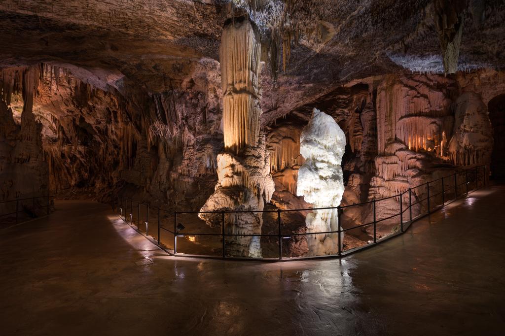 Rooms Jurca Postojna Dış mekan fotoğraf
