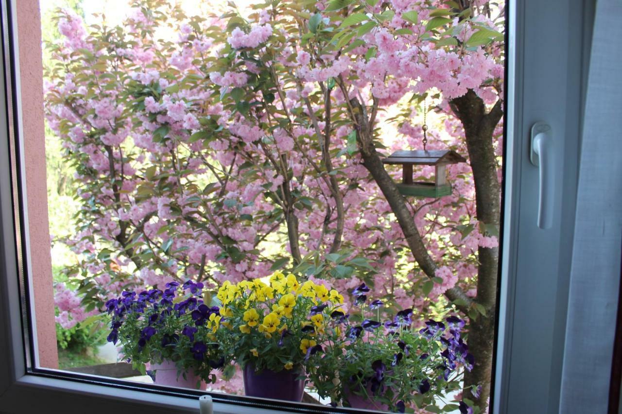 Rooms Jurca Postojna Dış mekan fotoğraf